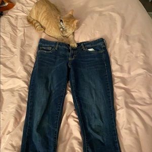 Girl friend jeans! (Cat not included!